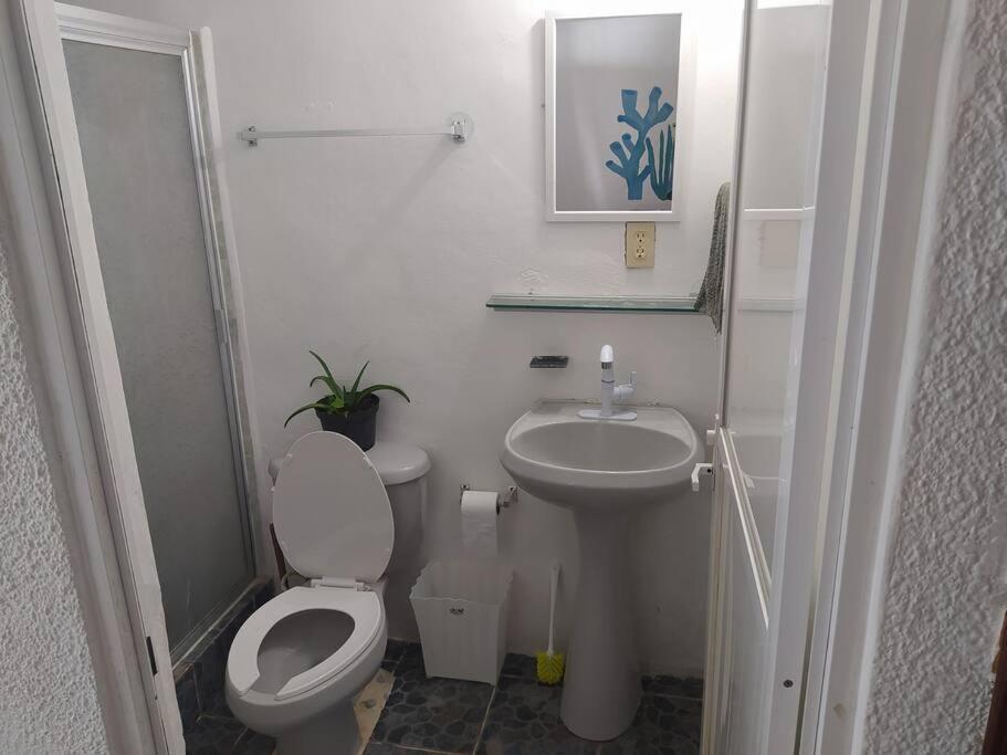 Arrecife Apartamento Cancún Exterior foto